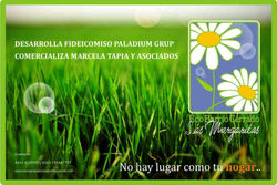 Aplicación_Logo.jpg