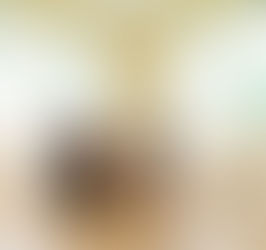 Fur-ever Homes: Staging Your Waterloo Region Property for Pet Lovers