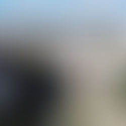 Uptown Waterloo: Your Complete Waterloo Region Neighbourhood Guide