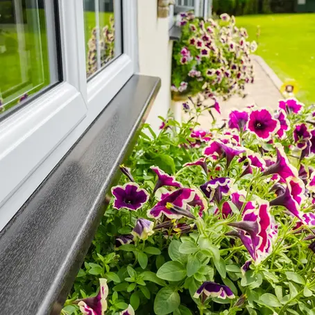 DIY Spring Home Improvement Ideas to Add Value to Your Waterloo Region Home