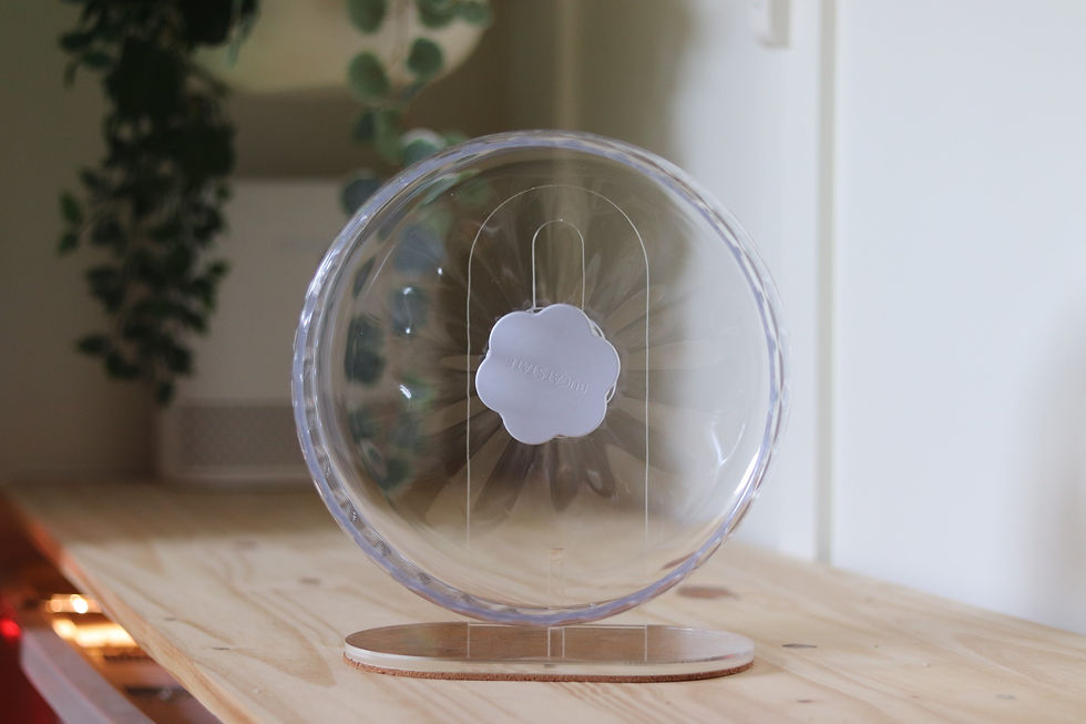 Thumbnail: Bucatstate Wheel