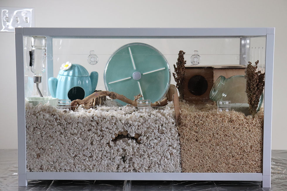 Thumbnail: Bucatstate Hamster Habitat