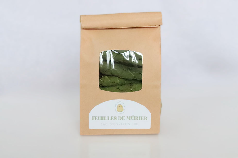 Thumbnail: Mulberry leaves