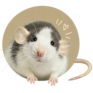 FloofyBum offers products suitable for rats
