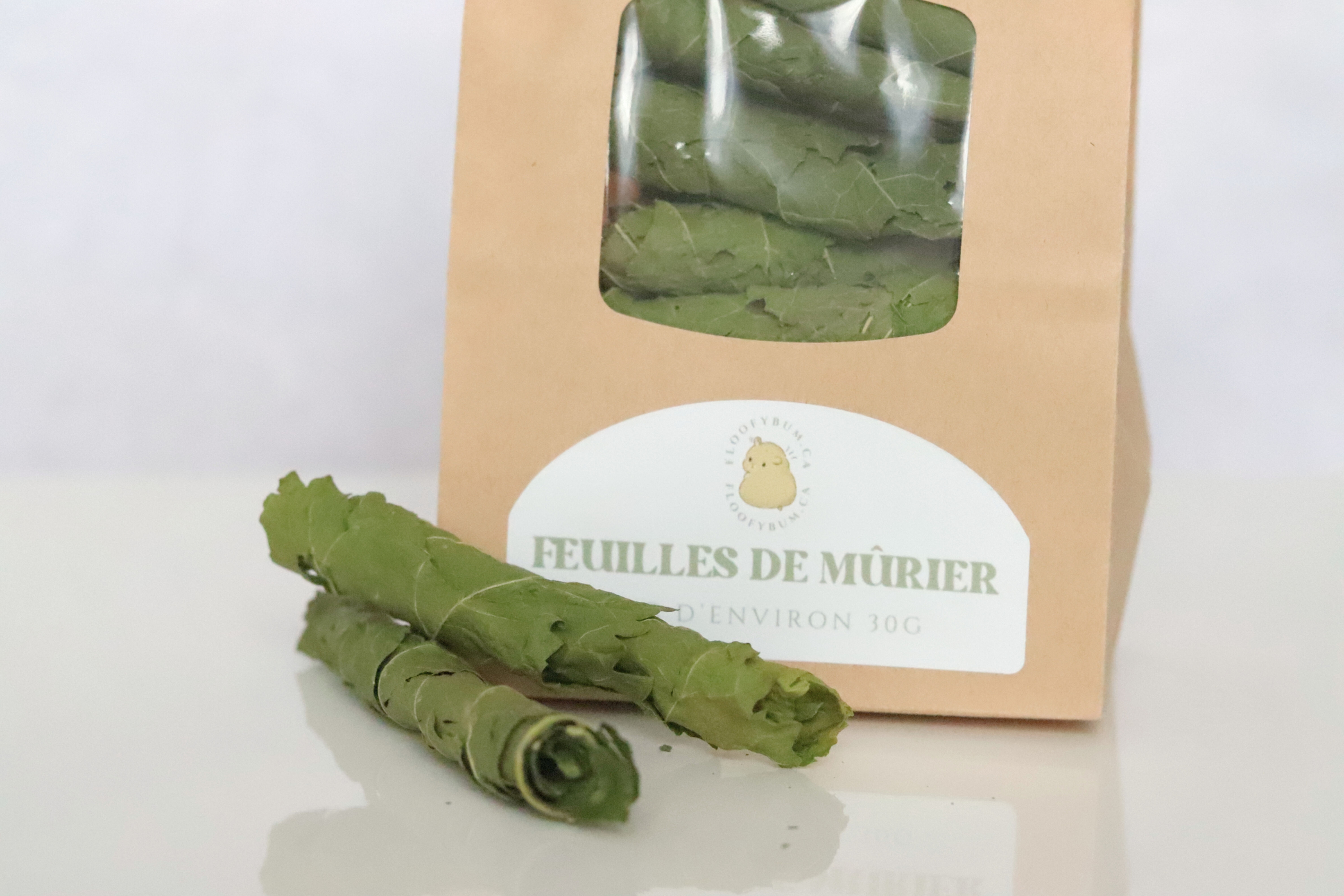 Feuilles de mûrier