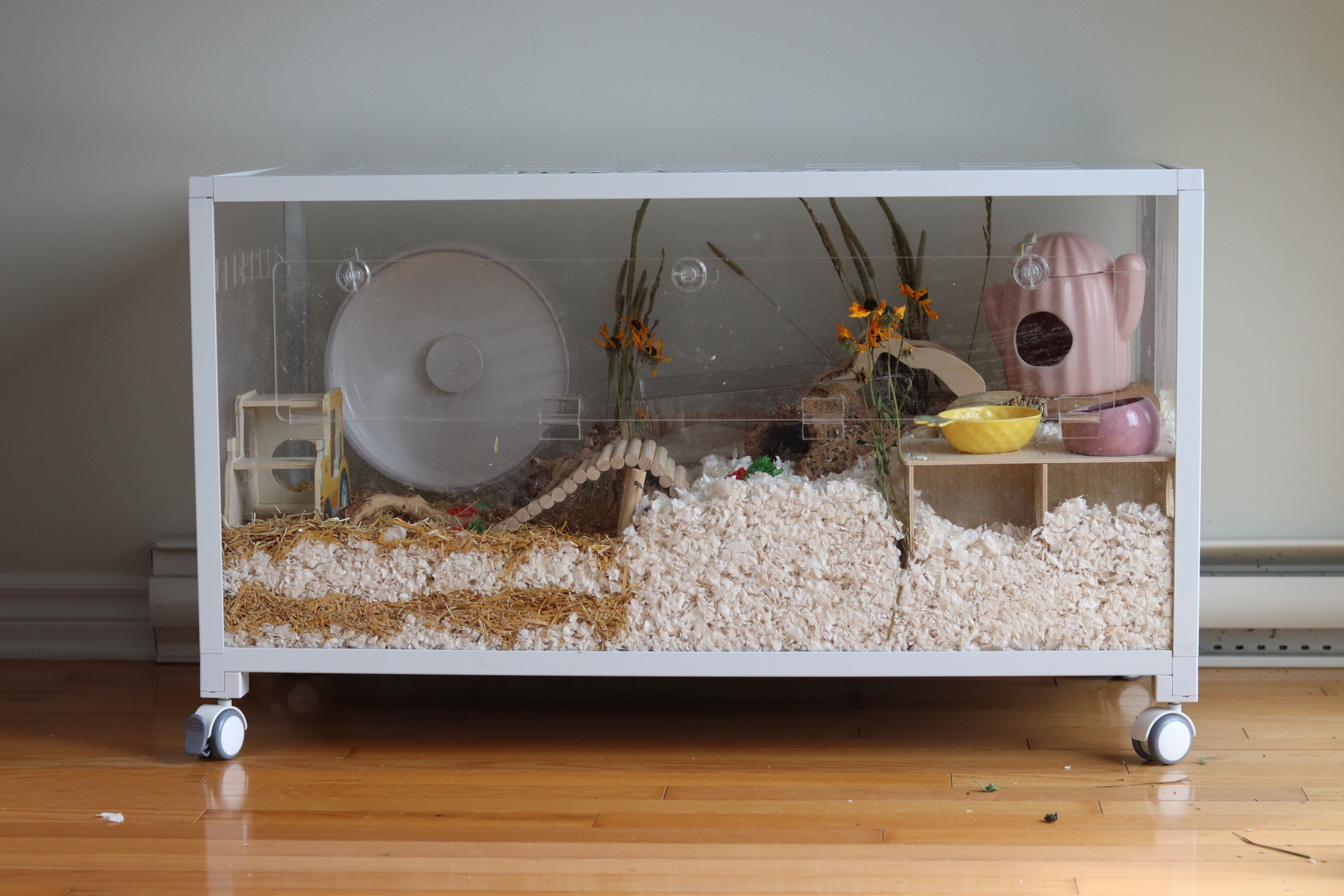 Habitat pour Hamster "Bucatstate"