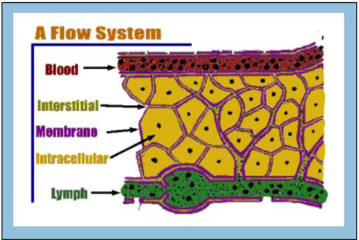 A Flow System.png