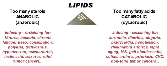 Lipids.png
