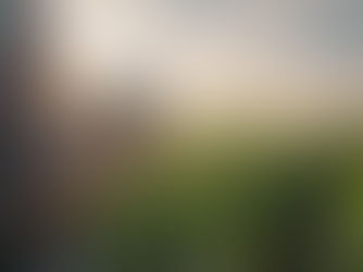 Pessoa usando smartphone em meio a uma plantação de milho