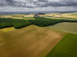 Vista aérea de áreas agrícolas com grandes lavouras retangulares intercaladas por faixa de mata nativa, sob céu nublado.