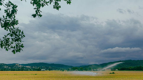Aspersor irrigando uma plantação em campo aberto sob céu nublado, com colinas verdes e algumas construções ao fundo, enquanto galhos de árvore aparecem no topo da imagem.