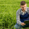 Homem com avental e camisa xadrez usando um tablet em meio a uma plantação verde, analisando dados agrícolas.