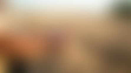 Como os dados climáticos influenciam o lucro na safra? 