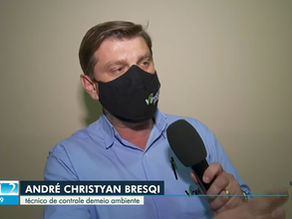 Satélites e aplicativos auxiliam no monitoramento de queimadas na região de Ribeirão Preto