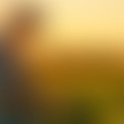 Agricultor usando um tablet em meio à plantação durante o pôr do sol.