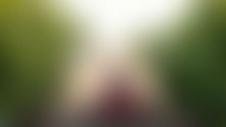 Previsões climáticas específicas criam “janelas de aplicação” de agroquímicos