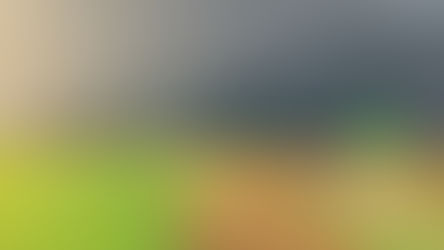 Vista aérea de campos agrícolas com turbinas eólicas sob céu nublado com arco-íris ao fundo.