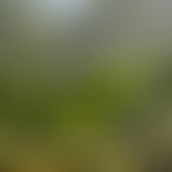 Chuva em Mato Grosso do Sul