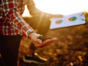 Quanto custa ignorar o tempo e o clima?