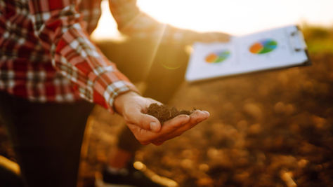 Quanto custa ignorar o tempo e o clima?