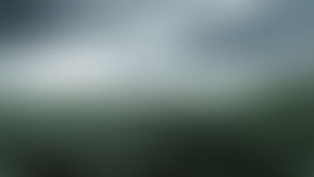 A imagem mostra uma plantação extensa de milho sob chuva intensa, com céu nublado e carregado, sugerindo a aproximação de uma tempestade. As folhas das plantas balançam com o vento, reforçando a sensação de clima severo.