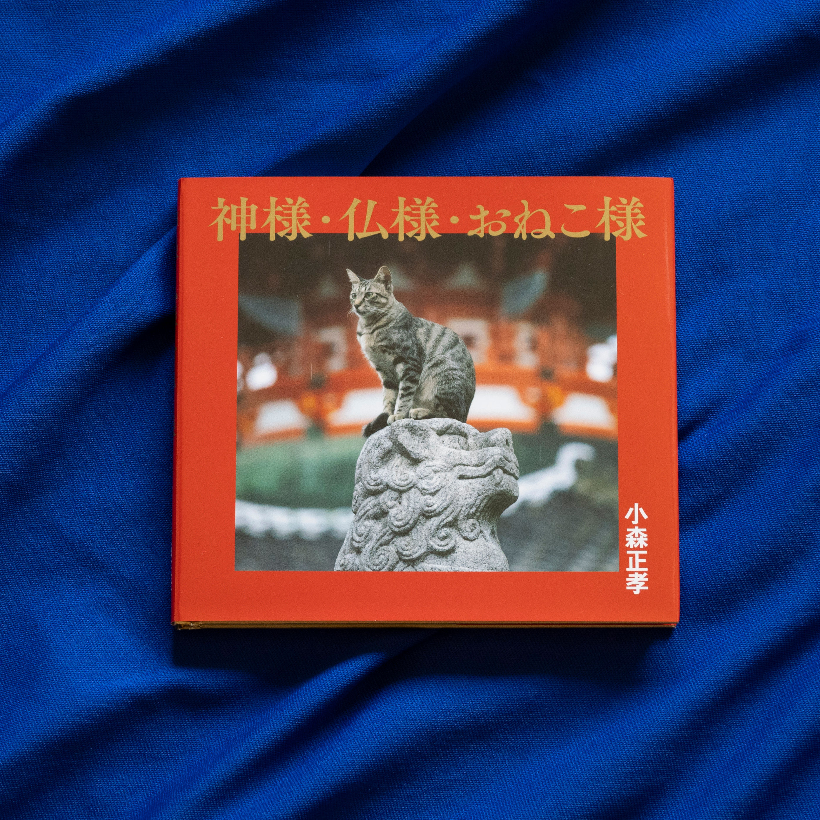 神様•仏様•おねこ様　写真集