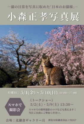 「日本のお猫様」　小森正孝写真展