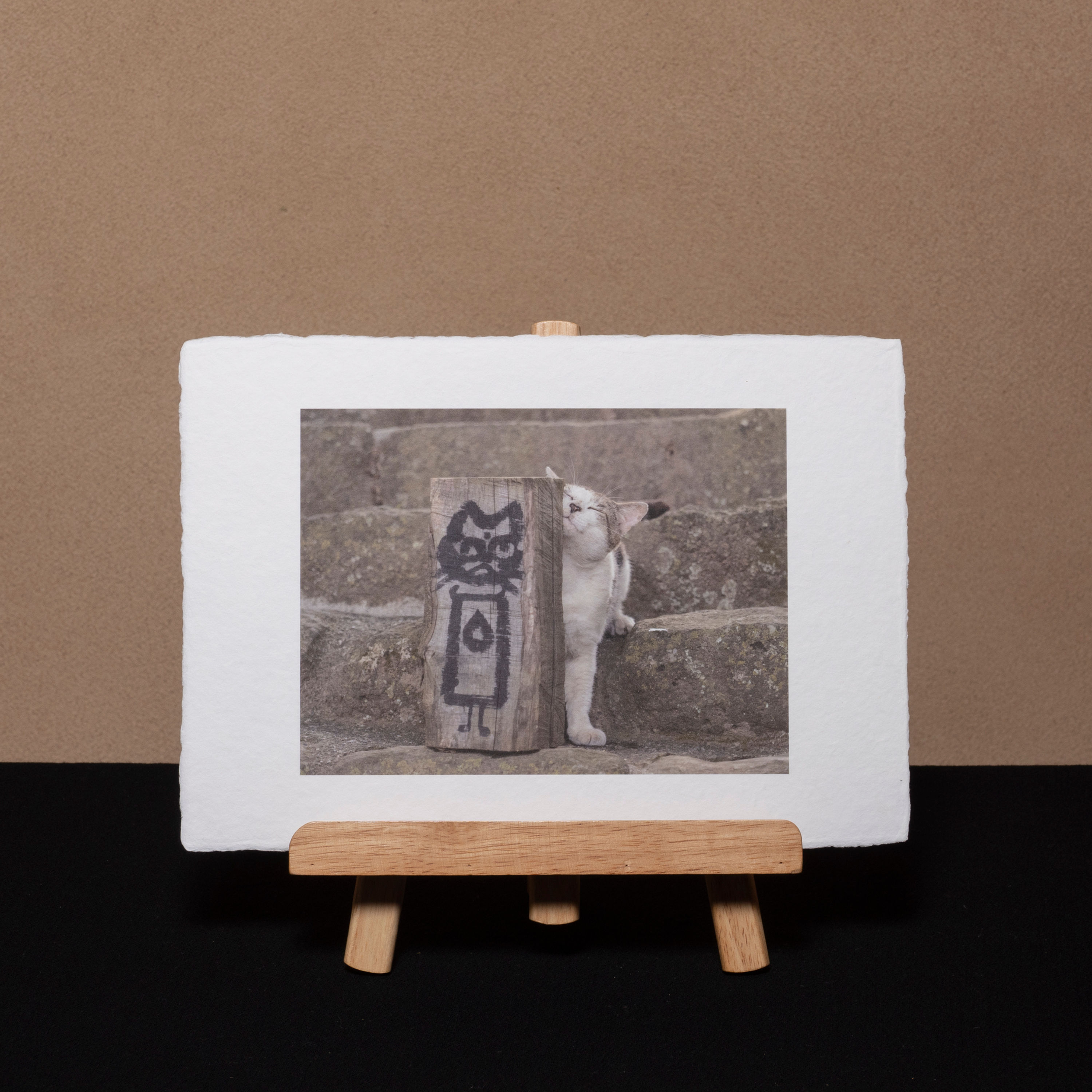 長光寺のねこ 03B