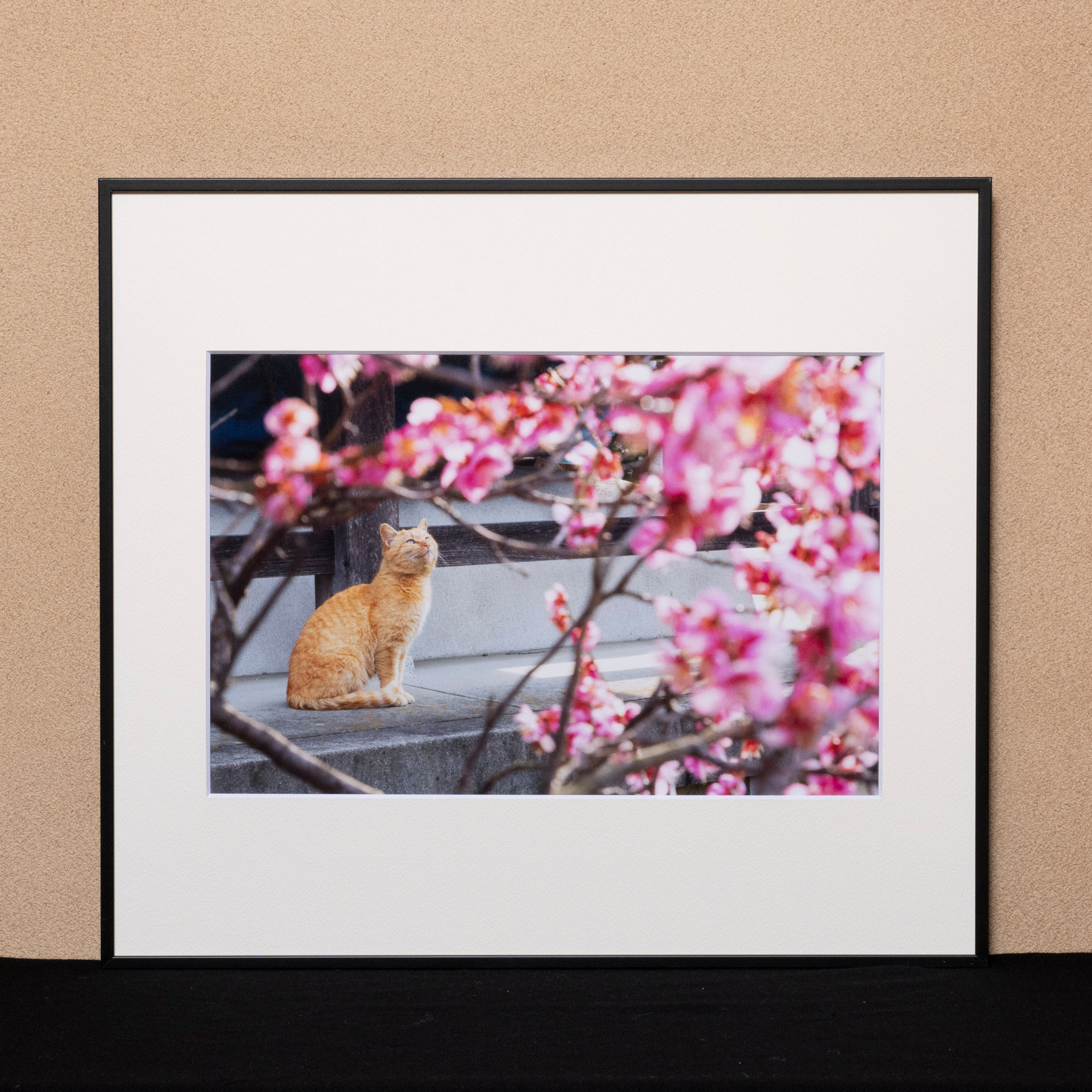 ３６６日のにゃん言葉 A０５