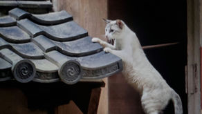 越えられない壁はない