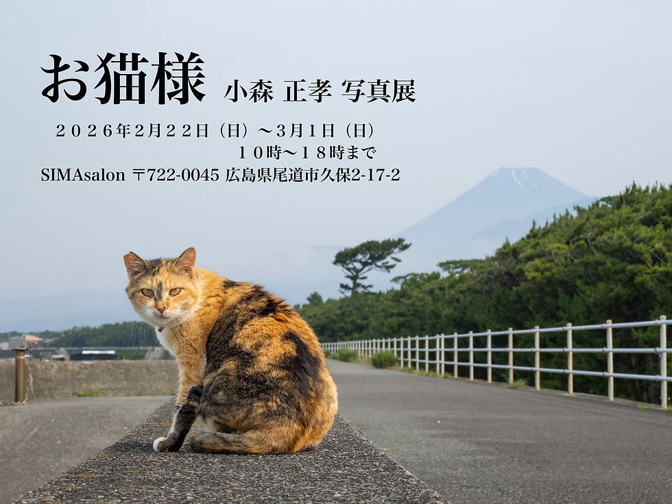 小森正孝個展「お猫様」