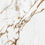 Миниатюра: Calacatta Gold ARKLAM