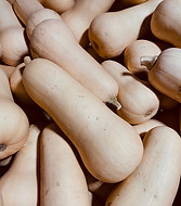 walthambutternut.jpg