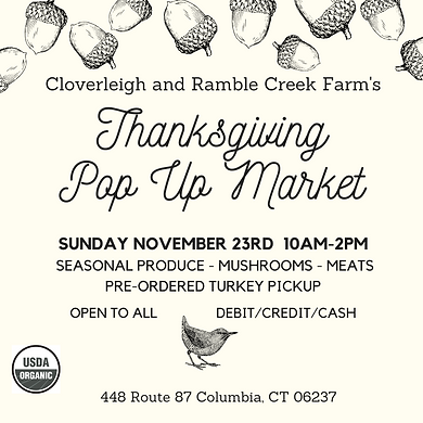 Thanksgiving Pop Up 2025.png