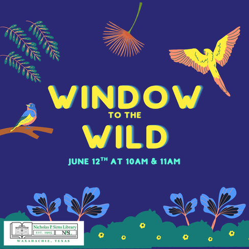 Window to the Wild June 12th at 10am and 11 am. Bird Show.