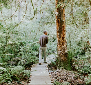 Screen Shot 2023-03-25 at 8.55.16 AM.png