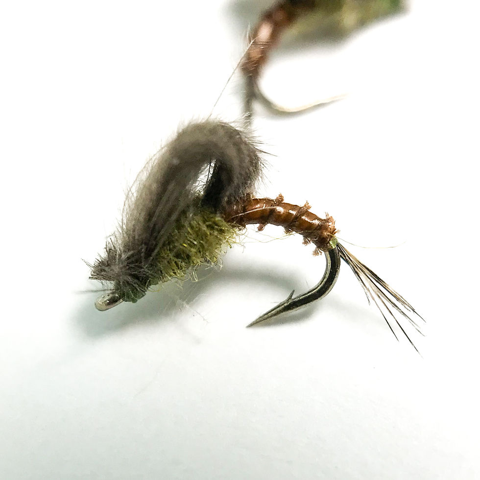 BWO CDC Bubbleback Emerger