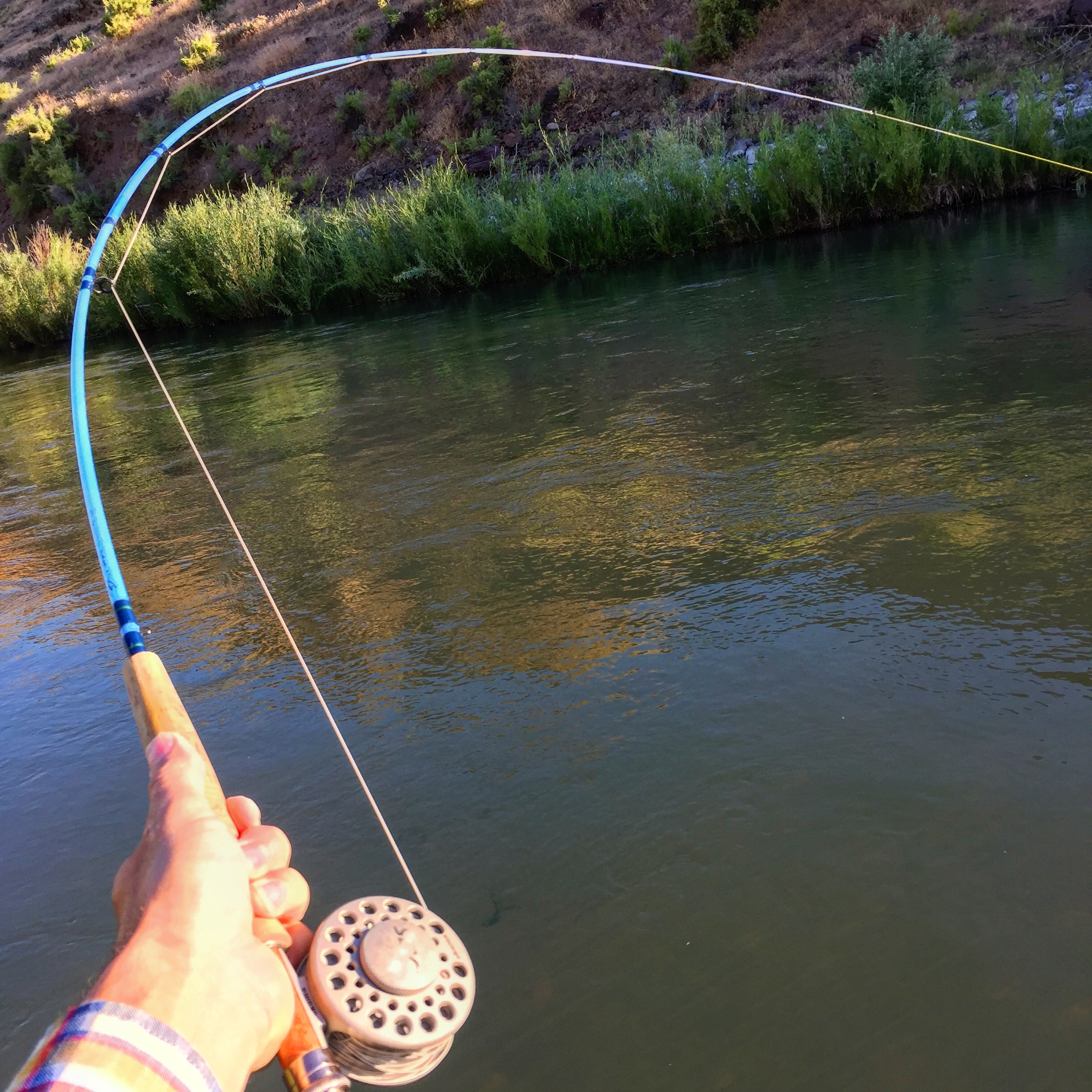 Fly Fishing The Owyhee River Book Goodreads Read Online Kariage Kun fly-fishing-the-owyhee-river-book-goodreads-read-online-kariage-kun