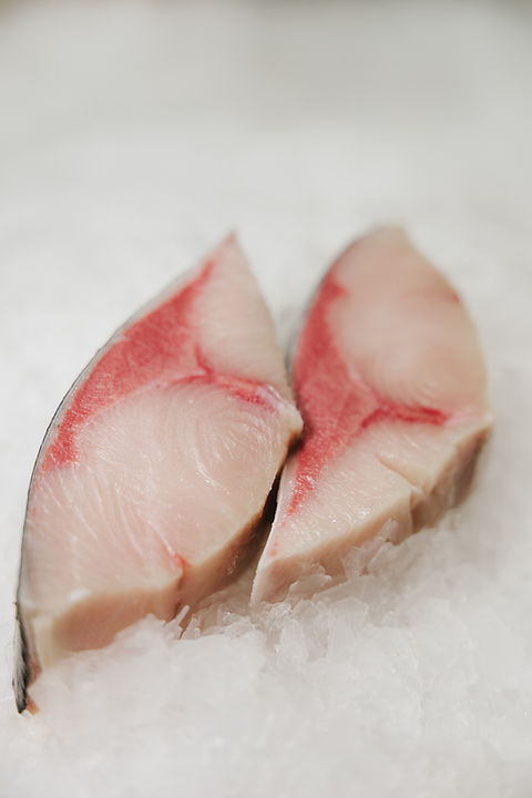 Buy Hamachi Fish Online | Giovanni's Fish Market