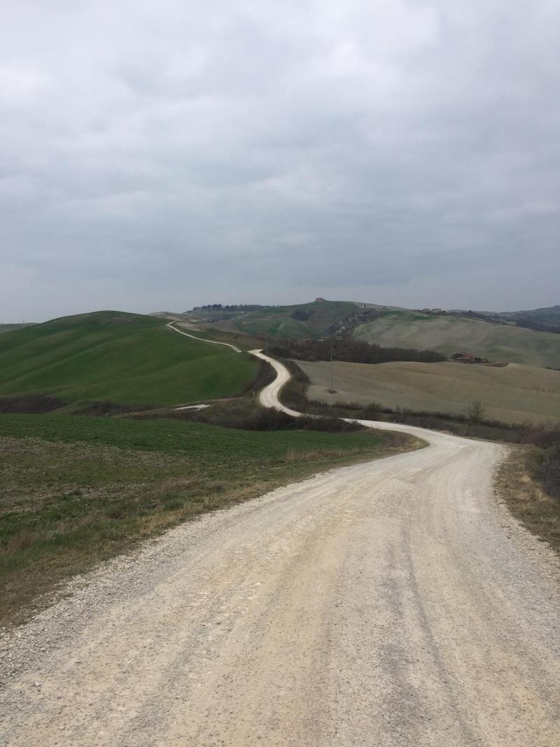 Une route blanche sur les crêtes de Montalcino