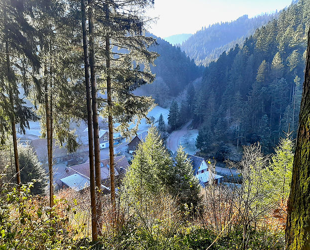 Sonniger Blick auf Wald und Dorf