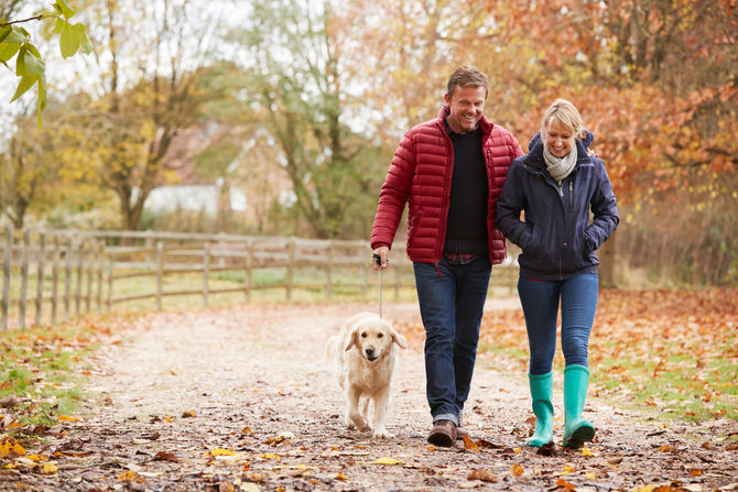 Take a Walk in the Autumn Warmth