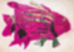 Pink Fish