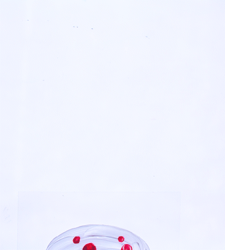meduza_1.gif