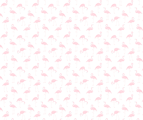 WTB Social Media Graphics (1).png