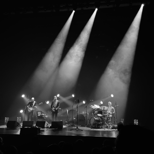 Andrew Bird