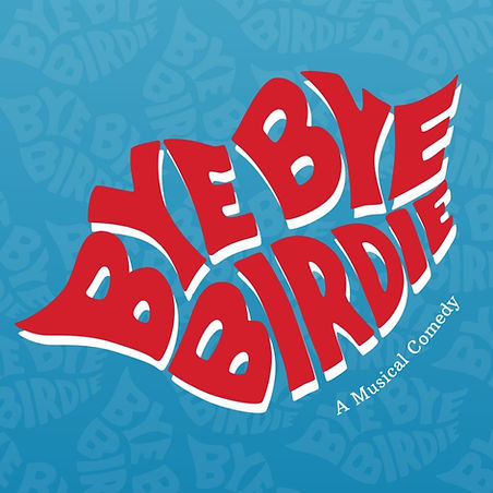 Birdie Auditions (1080 x 1080 px).jpg