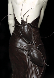 teamcreativecanali2024_22176_httpss.mj.run_qpUFbvmwbs_httpss._9d1ca013-3d16-483f-81eb-a0e80e4ddde3_3.png