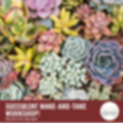Succulent (1).png