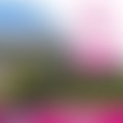 ميونخ * شهر 1 / 2023 - 6 أيام - 146 دينار